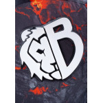 Bravry Catalyst Explosion