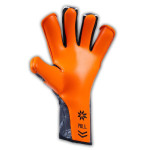 Bravry Catalyst Explosion